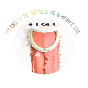 NIB 🌈 GIGI Gorgeous The Only Blush Duo in Authentic + Pride